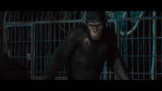 LA PLANÈTE DES SINGES 4  Nouveau Royaume Bande Annonce 2024 [upl. by Jemy]