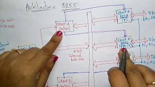 8255 programmable peripheral interface  Architecture  part 12 [upl. by Zephaniah]