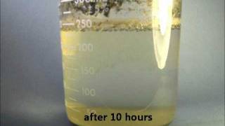 Biomass Degradation and Water Purification with Catalyzed Hydrogen Peroxide [upl. by Nnylireg]