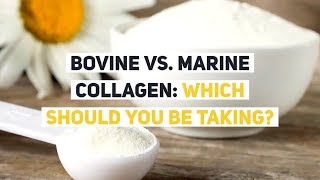 Bovine vs Marine Collagen Which Should YOU be Taking [upl. by Iat266]