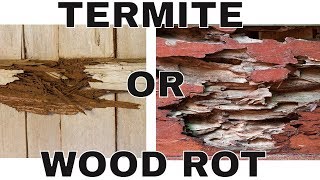 Is That Termite Damage Wood Rot Damage 😨 How to Tell the Difference [upl. by Alaj365]