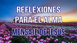 REFLEXIONES PARA EL ALMA  MENSAJE DE JESÚS [upl. by Ursulina983]