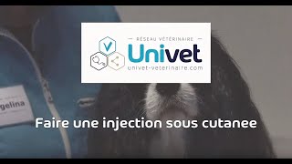 Comment faire une injection souscutanée à votre animal [upl. by Pellikka]