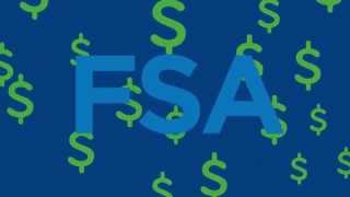 Flexible Spending Accounts FSAs [upl. by Elatnahc374]