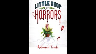 Little Shop of Horrors  4A  WSKID Radio Jingle [upl. by Adeehsar]