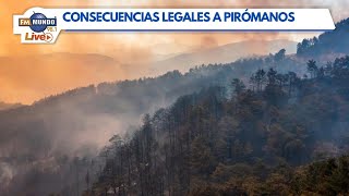 Aspectos legales de los incendios forestales  El Mundo de Cabeza [upl. by Oriane]