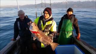 Kaikoura Fishing Charter 26 May 2017 [upl. by Ericka885]