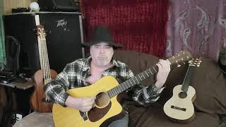 Cinnamon Girl an acoustic cover of Neil Young amp Crazy Horse [upl. by Ahseryt572]