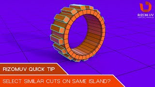 RizomUV Quick Tip Select Similar Cuts On Same Island [upl. by Akinnej142]