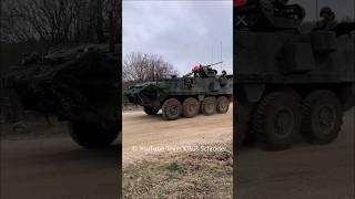 Stryker und M 113 Allied Spirit 2024 [upl. by Htebazie]