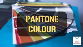 Pantone Colors  What are Pantone Colours What is the pantone colour of the year [upl. by Dennie389]