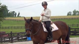 How to Move a Horses Hindquarters Under Saddle [upl. by Roon768]