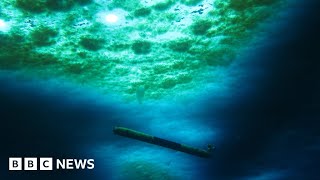 Warming ocean melting weak spots into vast Antarctic glacier  BBC News [upl. by Akemat]