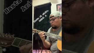 Ariel Camacho  El Señor de los Cielos Intro requinto guitarcover corridos [upl. by Anwahsat]