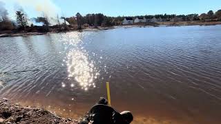 Water Level amp Grass Update Week 6  10 Acre Private Fishing Hole PROJECT [upl. by Ham]