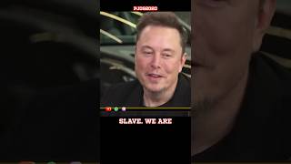 Everyone was a slave elonmusk slavery [upl. by Auhsuoj711]