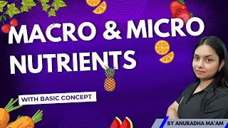 MACRO NUTRIENTS amp MICRO NUTRIENTS  Basic concept  by ThePrepZone nutrients NCERT biology [upl. by Lu]