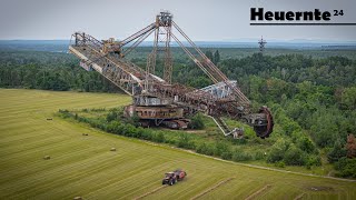 Einmalige Kulisse  Heuernte 2024  CASE IH BAGGER 1473 🇩🇪 [upl. by Nonna]