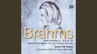 String Sextet No 2 in G Major Op 36 Arr for Piano Trio by Theodor Kirchner  III Poco adagio [upl. by Llezom]