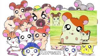 Hamtaro Ending Multilangauge Comparison [upl. by Neenad404]