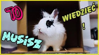 ‼️ Musisz to wiedzieć zanim zdecydujesz się na królika ‼️🐰 [upl. by Htebharas827]