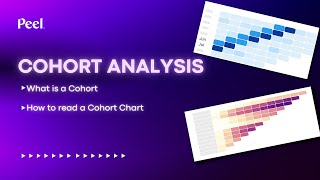 What is a Cohort How to Read a Cohort Analysis Chart [upl. by Quincey]