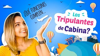 Qué funciones cumplen los tripulantes de cabina [upl. by Rumery]