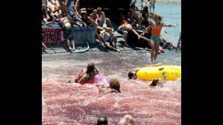 Piranha 3D  Movie Review [upl. by Fritzie329]