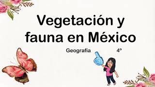 Vegetación y fauna en México [upl. by Yennek986]