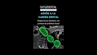 ADIÓS A LA CARIES DENTAL Streptococcus dentisani una promesa de probiótico bucal [upl. by Nelle]