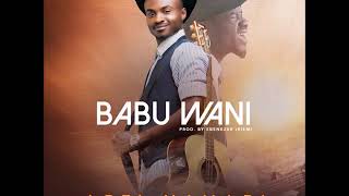 Abel Namadi – Babu Wani Hausa Gospel Music 2018 [upl. by Kinom]