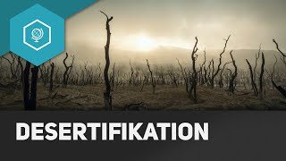 Desertifikation  Bodendegradation 3 [upl. by Aneerol268]