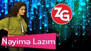 Zahide Gunes  Neyime Lazim Official Audio [upl. by Teevens873]