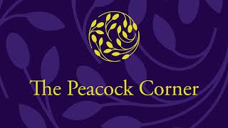 The Garden Venue  Peacock Corner 30 to 60 Guests Virtual Tour Wedding Venue amp Hotel Jhb Gauteng [upl. by Salomone]