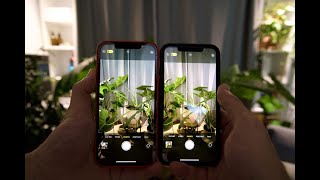 Comment améliorer sa qualité dappareil photo et vidéo sur son iPhone [upl. by Ydnab]