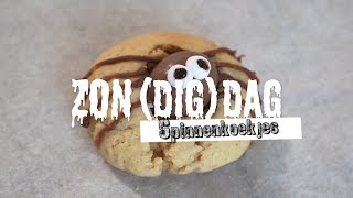 ZONDIGDAG Spinnenkoekjes [upl. by Janella]