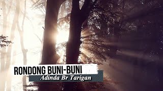 ORIGINAL KARAOKE Adinda Br Tarigan  Rondong Bunibuni  Lagu Karo [upl. by Eirehc448]