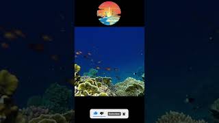 Fiji Islands  Travel Video  VacationNation [upl. by Leinad]