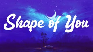 Ed Sheeran  Shape of You Lyrics [upl. by Seftton]