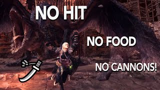 Long sword vs Fatalis but I avoid taking damage and more 1633 [upl. by Enorel233]