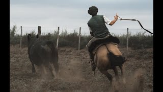 Experience the biggest cattle drive on earth at TERRA PAMPA Ranch [upl. by Yrelbmik591]