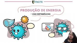 VIAS METABÓLICAS  Parte 2 [upl. by Hsirahc441]