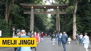 Experience the Tranquility of Meiji Jingu A MustSee for Any Tokyo Traveler [upl. by Marih402]