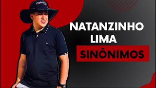 SINÔNIMO DE AMOR É AMAR  NATANZINHO LIMA  MÚSICA NOVA  SERESTA OUTUBRO 2024  NO 12 [upl. by Nialb]