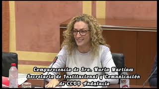 Comparecencia 18112024 de CCOO sobre el Proyecto de Ley del Presupuesto de Andalucía 2025 [upl. by Margherita479]