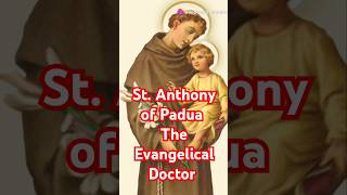 St Anthony of Padua Patron saint of lost items youtubeshorts catholicsaint facts patronsaint [upl. by Aihtebat]