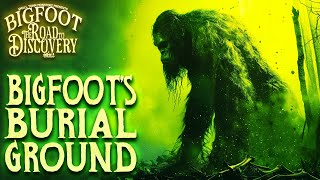 Bigfoots Burial Ground  Bigfoot The Road to Discovery Real Sasquatch Audio [upl. by Hanima]