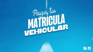 Paga tu matrícula vehicular con PacifiCard 🚘💳 [upl. by Krute924]