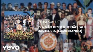 Zé Ramalho  Pra Não Dizer Que Não Falei das Flores Caminhando Áudio Oficial [upl. by Krystyna]