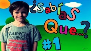 10 COSAS QUE QUIZÁS NO SABIAS  Thiago [upl. by Aerdna]